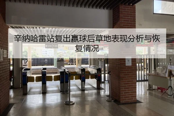 辛纳哈雷站复出赢球后草地表现分析与恢复情况