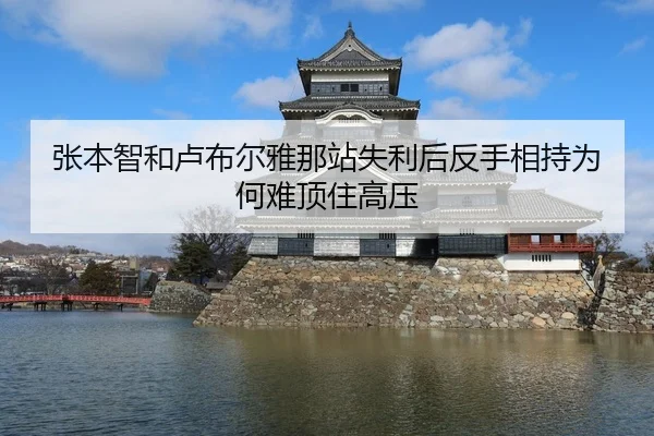 张本智和卢布尔雅那站失利后反手相持为何难顶住高压