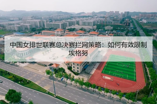 中国女排世联赛总决赛拦网策略：如何有效限制埃格努